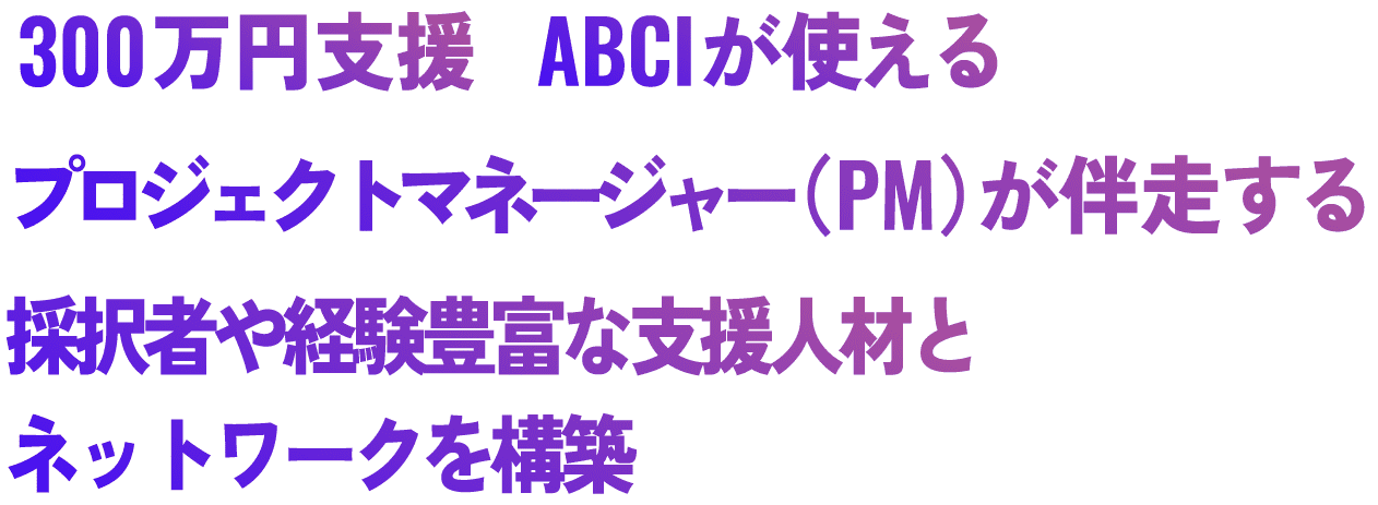 300万円支援 ABCIが使える プロジェクトマネージャー（PM）が伴走する 知的財産権や研究成果は、採択者に帰属 採択者や経験豊富な支援人材とネットワークを構築